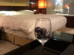 -北京首都机场希尔顿酒店