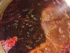 -大龙燚火锅
