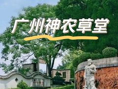 -广州神农草堂中医药博物馆
