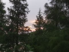 -聚龙山公园