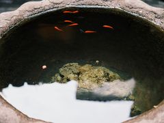 -31号公馆(黄兴广场白果园店)