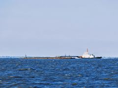 -上海吴淞炮台湾国家湿地公园