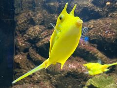 -洛阳龙门海洋馆