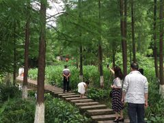 -重庆彩云湖湿地公园