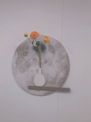 -北京京通医院医疗美容