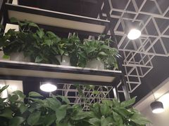 -宝小庆邵阳米粉(深圳市南山保利店)