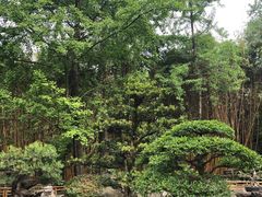 -成都武侯祠博物馆