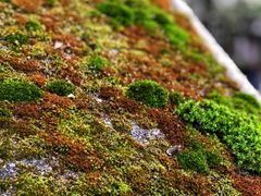 -西南交通大学(峨眉校区)