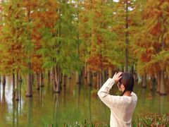 -白鹭湾湿地公园