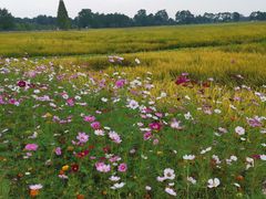 -中国天府农业博览园