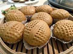 -青蓬蒸汽海鲜·深圳老字号·团建聚会(壹方城店)