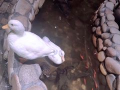 -馬蘭花開(车站大道店)