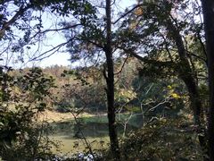 -青龙山国家森林公园