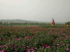 -北纬44度·金珠花海休闲农业旅游景区