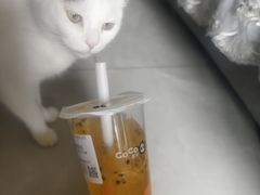 -太原茂业天地购物中心