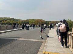 -昆山城市生态森林公园