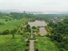 -张坝桂圆林公园