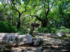 -北京植物园-展览温室