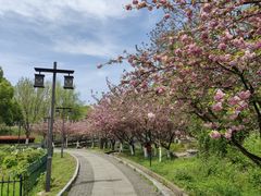 -幕燕滨江·长江观音景区
