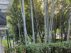 -故乡缘·香格里拉山庄(冷竹路店)