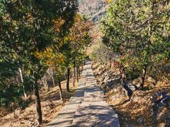 -北京十三陵国家森林公园蟒山景区