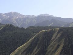 -果子沟大桥
