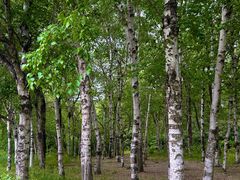 -长春市南湖公园