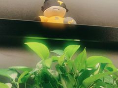 -梵猫·新养生(加州广场店)