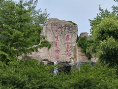 -秦皇岛野生动物园