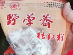 -野荸荠