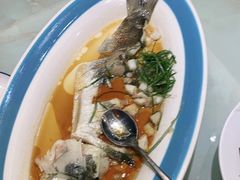 -天天鱼港·海鲜·鲅鱼水饺·招牌烤鸭(黄骅店)