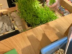 有机豆苗-椰夫人·养生椰子鸡(金沙洲永旺店)