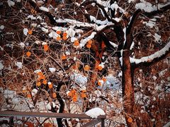 -里口山风景名胜区