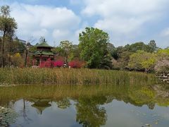 -云溪植物园