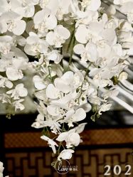 -蘭club婚礼策划