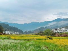 -婺源风景区