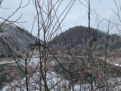 -武陵山森林公园