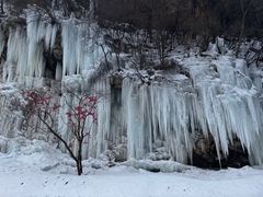 -少华山国家森林公园