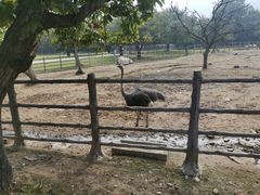 -西安秦岭野生动物园