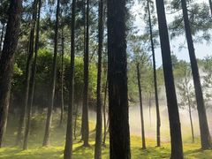 -玉苍山国家森林公园