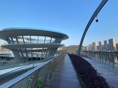 -梅溪湖城市岛