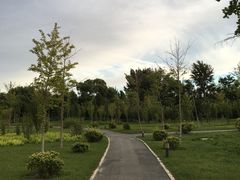 -中家鑫园温泉酒店-自助餐