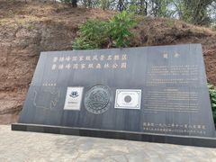 -磬锤峰森林公园