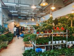 -双季花艺园艺市场(浦东店)