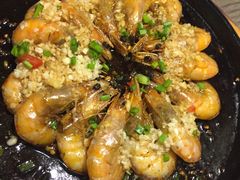 -青叶202都市餐厅(迪诺水镇店)