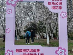 -堤角公园