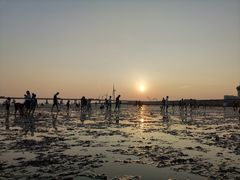 -南汇新城海滩