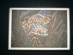 -罗红摄影艺术馆