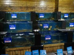 水产区-浩运·海鲜青岛菜·海胆水饺(石老人店)