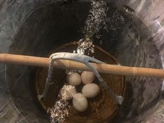 -盛之乡温泉渡假村仕林餐厅